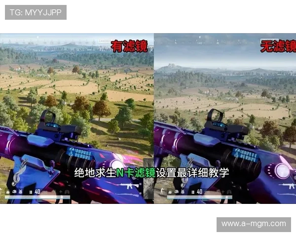 N卡控制面板吃鸡游戏滤镜优化技巧提升游戏体验与画面效果